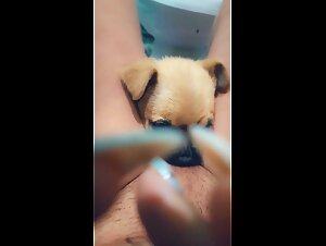 Thumb 8