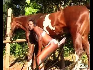 Brazilian ebony beauty ejoys horse sex anal