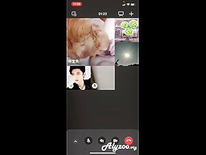 Live dog sex