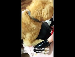 小孩开大车100元130部百度网盘搜qq3935919422