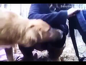 Kissing And Licked