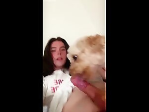 dog lick tranny cock