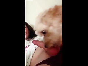 Thumb 9