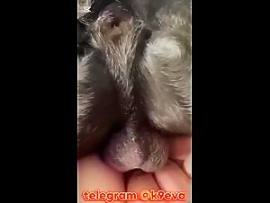 Thumb 6