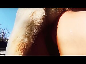 Thumb 6