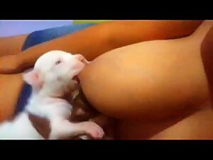 Breastfeeding puppy njs