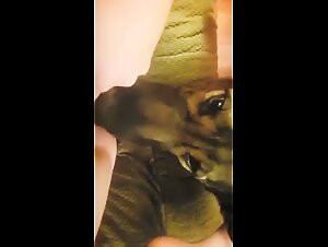 Thumb 8