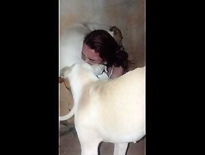 Amateur homemade dog blowjob