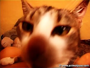 Thumb 10