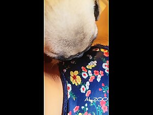 19yo & hungry pug