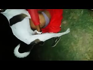 Travesti sexo anal com dog