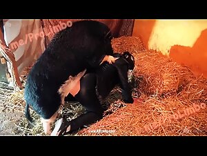 Selena Boar connection