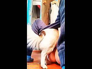 Doggie fuck girl