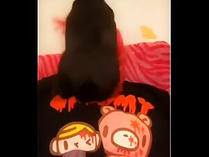 Rabbit fucks girls throat by surprise