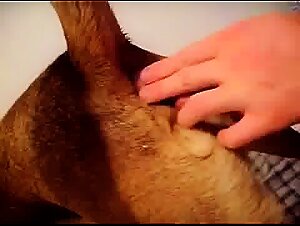 Thumb 7