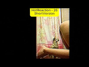 Zoo HotReaction 26 - Short Version