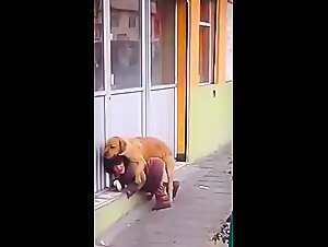 Homeless Midget having some fun with her dog