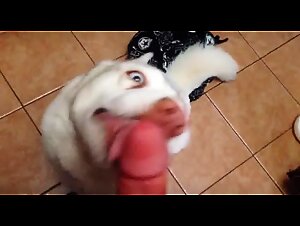 white girl loves dick till cum