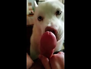 girl that loves dick