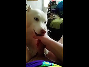 Thumb 9