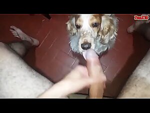 Thumb 6