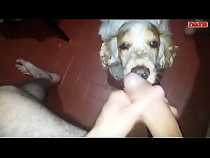 Thumb 7