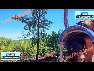 Thumb 9