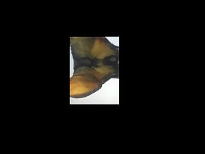 Thumb 10