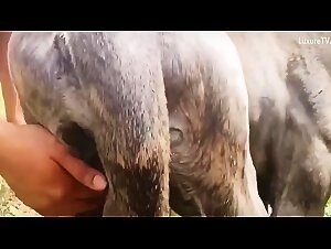 Thumb 7