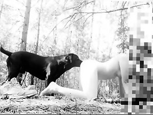 woman having sex with her dog in the forest,
