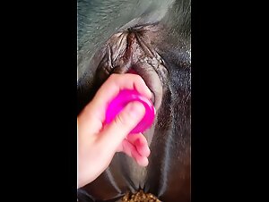 Thumb 10