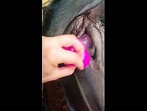 Thumb 6