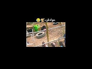 Thumb 9