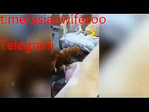 Asian wife love to play with dogs