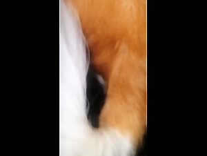 Thumb 10