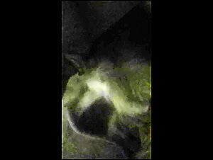 Thumb 7