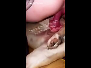 Tattoo girl riding dog