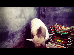 Thumb 8