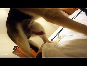 Thumb 6
