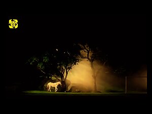 Matou a Família e Foi ao Cinema (1991) - Horse Scene