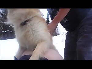 wife fucked by family dog in snow