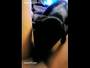 Wife pussy licked