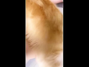 Thumb 7