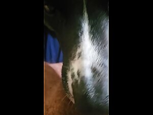 Thumb 7