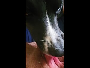 Thumb 9