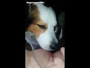 Nice lick and footjob
