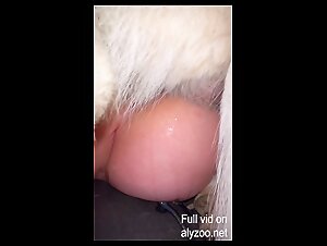 Thumb 7