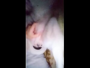 Suck Big balls dog arg