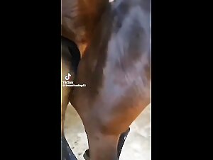 Tokie#HorsePussySquirtLikeHuman💦
