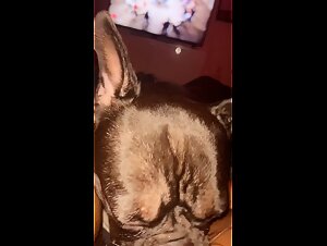 Chubby whore getting her clit licked by Frenchie